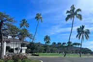 Oahu Secret Half Circle Tour with a Local thumbnail 5