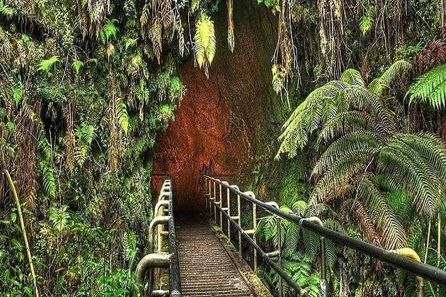 Big Island Volcanoes National Park Tour - Image 1