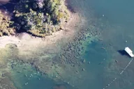 Crystal River Manatee Viewing and Sightseeing Boat Tour thumbnail 4