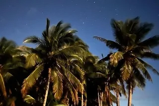 Olowalu Stargazing Tour with BYO Barbecue