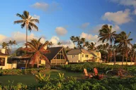 Oahu Walking Tour with Local Guide thumbnail 5