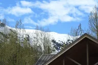 Seward Exit Glacier Nature Hike 2.5 hr thumbnail 4