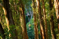 Kohala Canopy Zipline Adventure in Big Island thumbnail 1