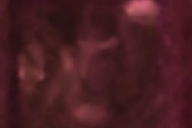 Williamsburg Ghost Tour with Real Photos - Image 6
