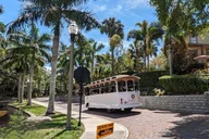 St Petersburg City Trolley Tour thumbnail 5