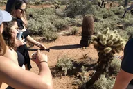Scottsdale Sonoran Desert Jeep Tour thumbnail 6