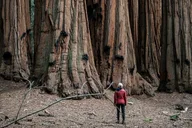 San Francisco to Los Angeles California Parks Tour thumbnail 4