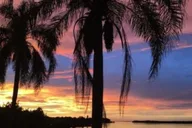 Tampa Hillsborough River Evening Boat Tour thumbnail 2