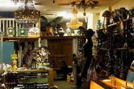 New Orleans Voodoo True Crime Tour thumbnail 3