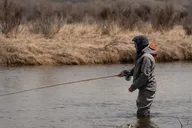 Jackson Hole Fly Fishing Walk Wade Tour thumbnail 1