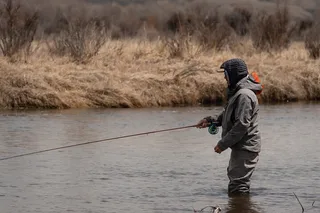 Jackson Hole Fly Fishing Walk Wade Tour