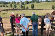 Lexington Thoroughbred Horse Farm Tour thumbnail 4