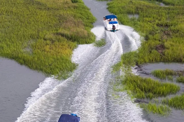 Hilton Head Dolphin and Nature Tour 90 Min - Image 5