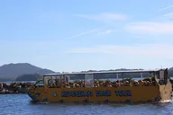 Ketchikan Duck Tour 90 Min thumbnail 2