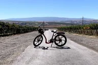 Livermore Electric Bike Rental thumbnail 5