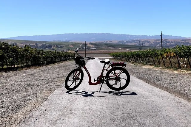 Livermore Electric Bike Rental - Image 5
