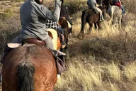 Tucson Horseback Ride in Catalina State Park thumbnail 5