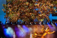 New York City Christmas Lights Rickshaw Tour thumbnail 5