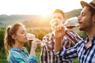 Amador County Wine Tasting Digital Passport thumbnail 2