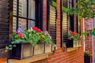 Boston History and Photo Walking Tour thumbnail 5