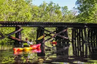 Amelia Island Kayak Tour of Lofton Creek thumbnail 4