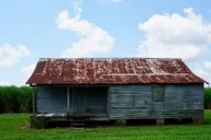 New Orleans Felicity Plantation Guided Tour 1.5 hr thumbnail 4