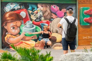 Miami Wynwood Walls Tour Early Access