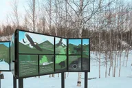 Fairbanks Arctic Circle Northern Lights Tour thumbnail 2