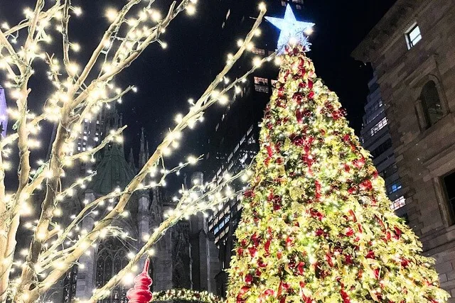 New York City Holiday Trees & Treats Crawl - Image 4