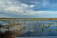 Miami Everglades National Park Airboat Tour thumbnail 5