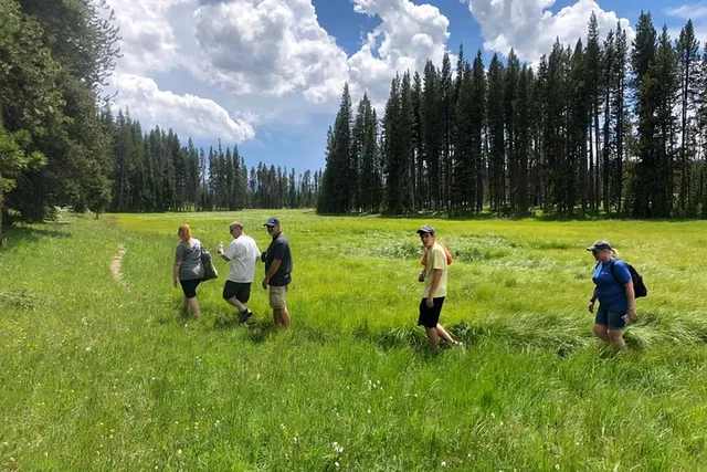 Yellowstone Hidden Gems Private Tour - Image 1
