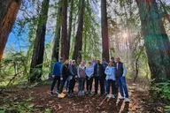 Napa Valley Redwood Hike thumbnail 2