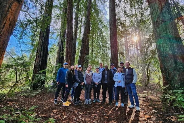 Napa Valley Redwood Hike - Image 2