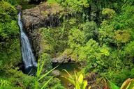Maui Road to Hana Private Tour thumbnail 1