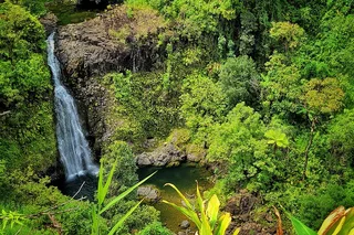 Maui Road to Hana Private Tour