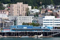 Juneau City Tour 90 min thumbnail 4