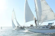 San Diego Private Sailing Tour thumbnail 2