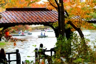 New York City Central Park Pedicab Tour thumbnail 5