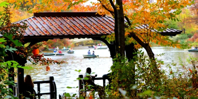 New York City Central Park Pedicab Tour - Image 5