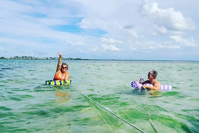 Sarasota Sandbar and Dolphin Watching Cruise - Image 3