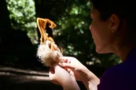 Santa Cruz Wilderness Survival Clinic thumbnail 3