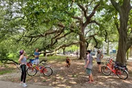 New Orleans Garden District and Cemetery Bike Tour thumbnail 1