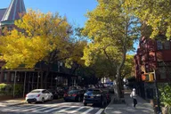 New York City Harlem Art Tour with Paul Déo 3 hr thumbnail 3