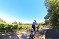 Napa and Sonoma Bicycle Tour thumbnail 3