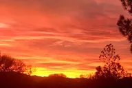 Sedona Wildlife Safari by Jeep at Sunrise thumbnail 5