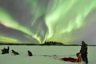 Fairbanks Dog Sledding and Mushing Experience thumbnail 3