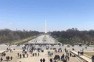 Washington D.C Walking Tour thumbnail 4