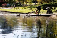 Memphis Botanic Garden Entry Ticket thumbnail 5