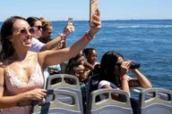 New York City Whale Watching Cruise thumbnail 2