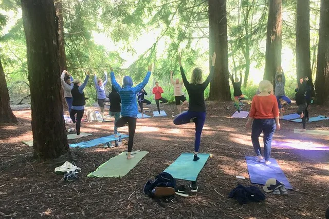Oakland Yoga Class with Silent Disco - Image 6